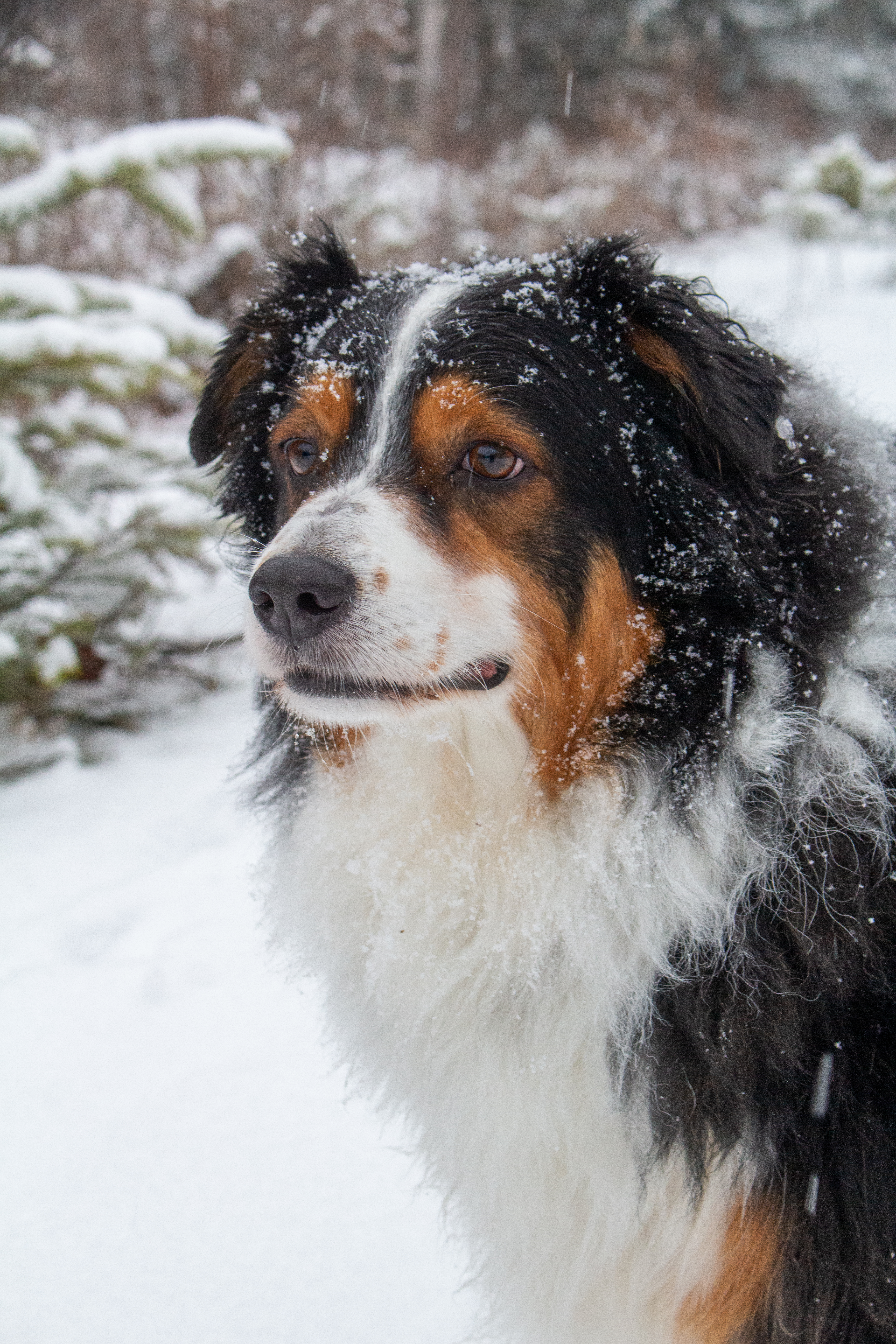 Creative Nature Photography